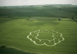 2003 Crop Circles - Temporary Temples
