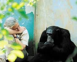 Resultat d'imatges de imatges del pensador