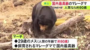 こどもの国