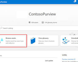 Image of Microsoft Azure Purview data catalog tool