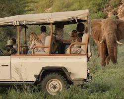 Зображення: ПАР сафарі