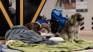 US Targets June End to Ukraine-Russia War