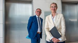 BILD - News update