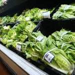  Dozens Of Victims Are Still Coping With The E. Coli Outbreak In Romaine Lettuce