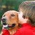 Do Not Pit Animal Welfare Against Starving Children (Op-Ed)