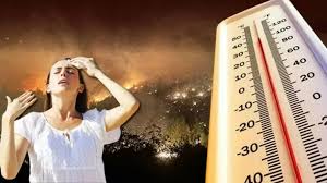 Şanlıurfa Olay - News update
