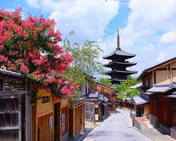 京都の夏の風景の画像