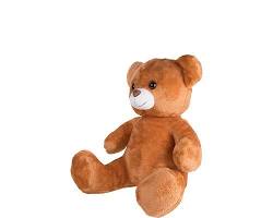 תמונה של fluffy teddy bear plush toy photography for sublimation printing white background