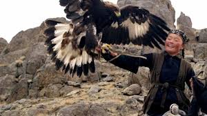 Image result for eagle huntress