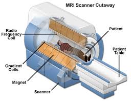 Hasil gambar untuk mri