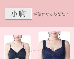 ふんわりルームブラの画像