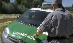 Trend Google: frascineto