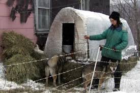 Image result for site:sugarmtnfarm.com chicken hoop house
