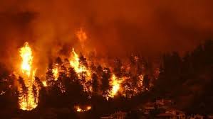 Navigating Greece's Wildfires: Assessing Travel Safety or Reconsidering Your Holiday Plans? - 1