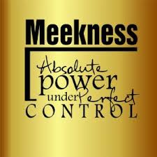 Meekness Quotes. QuotesGram via Relatably.com