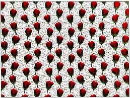 Résultat de recherche d'images pour "magic eye"