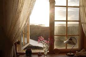 ���� ���� ������ �� ���� ������