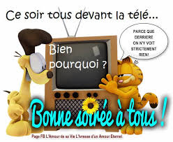 Résultat de recherche d'images pour "bonne soirée"