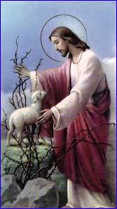 Resultado de imagen de jesus el buen pastor da la vida por sus ovejas y es la puerta de entrar