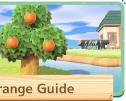 Image de Fruit d'orange animal crossing