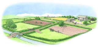 Image result for agricultural revolution industrial