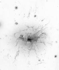 Image result for galaxy ngc 1275