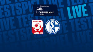 FC Gelsenkirchen-Schalke 04 e.V. - News update