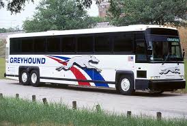 images?q=tbn:ANd9GcQi_5p7JVTnQwWgOI5d0aIcyRjaVt4AFtYl5Pg4QJFwsfEf5OwA