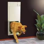 High tech pet door