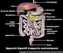 Syndrome de laposintestin irritable pdia