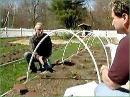 Bildergebnis für row cover