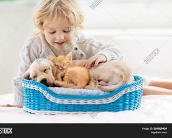 child playing with a dog and a catの画像