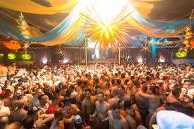 Image result for Party Fest 2016
