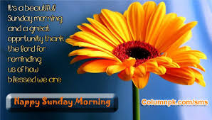 Happy Sunday Morning Wishes Quote Card Images Wallpapers ... via Relatably.com