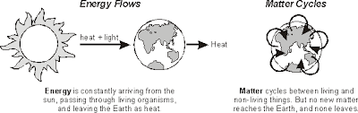 Image result for organisms and their environment