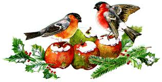 Résultat de recherche d'images pour "gifs gratuits joyeux noel bisous oiseaux"