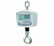 American Weigh Scale American Weigh H-1Digital Hanging