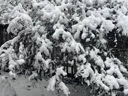 LI Snow Update: Winter Storm Warning In Effect -- New, Potential Snow Totals Released