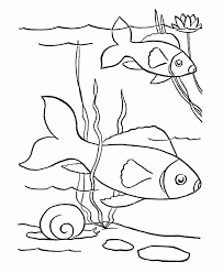 fish coloring pages ile ilgili görsel sonucu