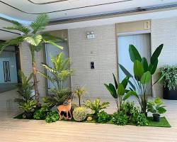 Hình ảnh về Cây xanh văn phòng tạo không gian làm việc tươi mát