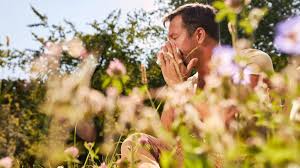 Pollenflug Zwickau aktuell: Pollenbelastung durch Hasel und Erle