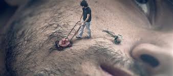 نتيجة بحث الصور عن تصميمات صور فوتوشوب