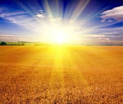 Image result for free download photographs of sunrise