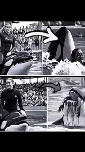 Justice for Jessica Actual video | BUGOK | Facebook