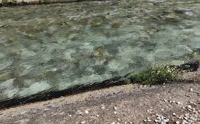 Trend Google: acqua potabile