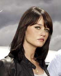 Teresa Lisbon in Channel Five&#39;s The Mentalist. Her appeal? It may be because she reminds me of a younger Demi Moore. Anyway, best not to analyse these ... - 150346_1