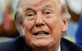 Allemagne : la sortie qui fait sensation — image 4