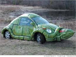 Image result for cecil turtle