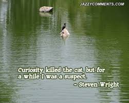 Quotes About Curiosity. QuotesGram via Relatably.com