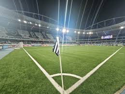 Botafogo vs Santos: The Real Reason Arthur Cabral Is Sidelined – A Tactical Disaster Unfolding in Brazilian Football